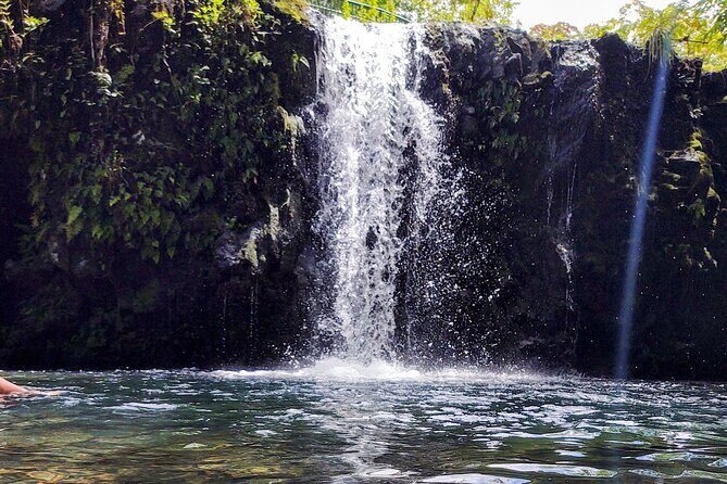 Halfway to Hana Private Tour Maui BlackBeach Waterfalls Turtles - FAQ: Your Practical Questions Answered