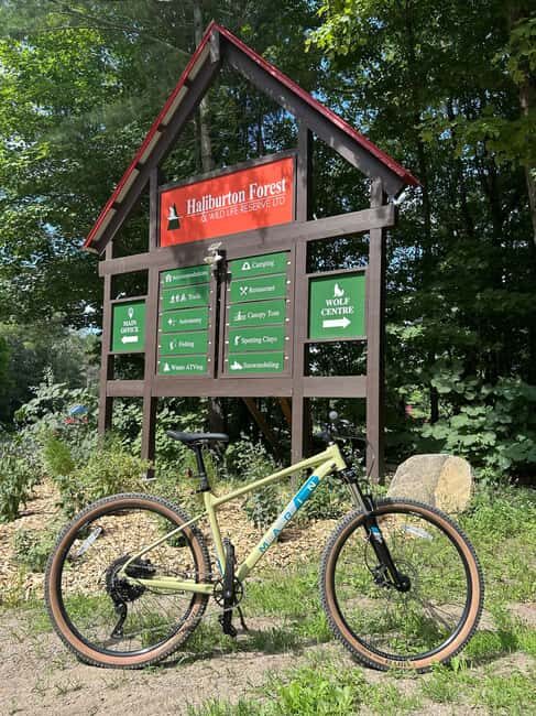 Haliburton: Mountain Bike Rental - An In-Depth Look at the Haliburton Mountain Bike Rental Experience