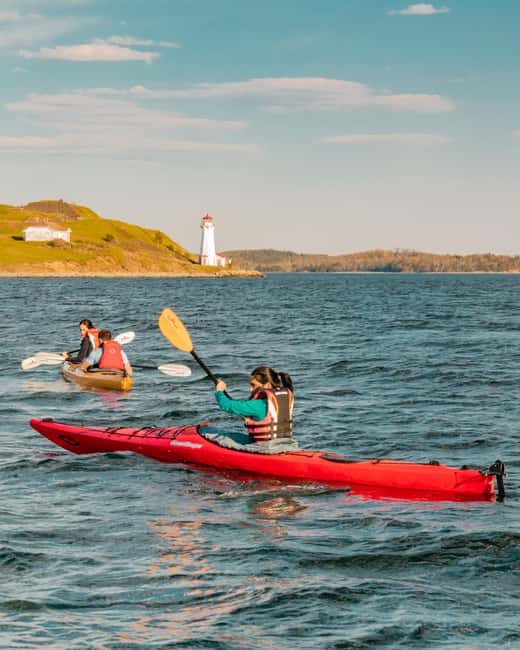 Halifax: Georges Island Kayak Tour - Introduction