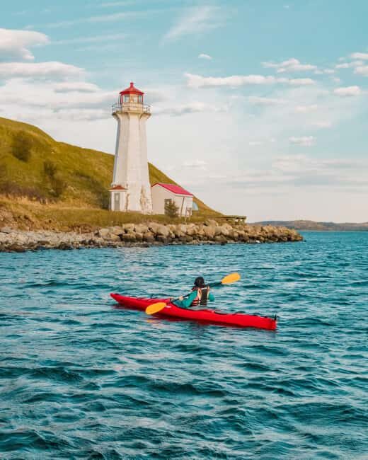 Halifax: Guided Kayak Tour with Multiple Options - Exploring Halifax Harbour from a Kayak