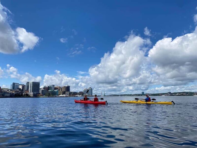 Halifax: Guided Kayak Tour with Multiple Options - Authentic Experiences and Practical Details