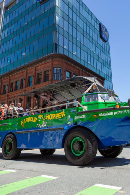 Halifax: Harbour Hopper City & Water Cruise in a Duck Boat - Customer Feedback