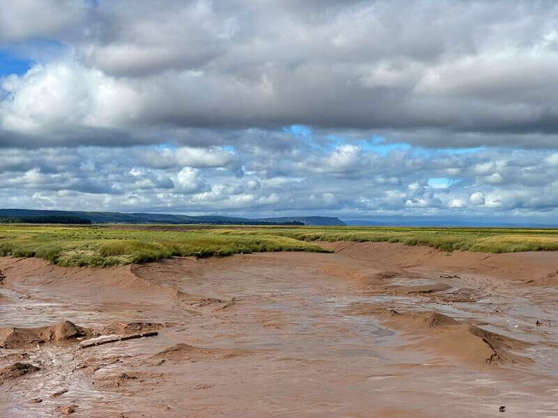 Halifax: Peggy's Cove, Lunenburg, and Annapolis Valley Tour - Final Thoughts