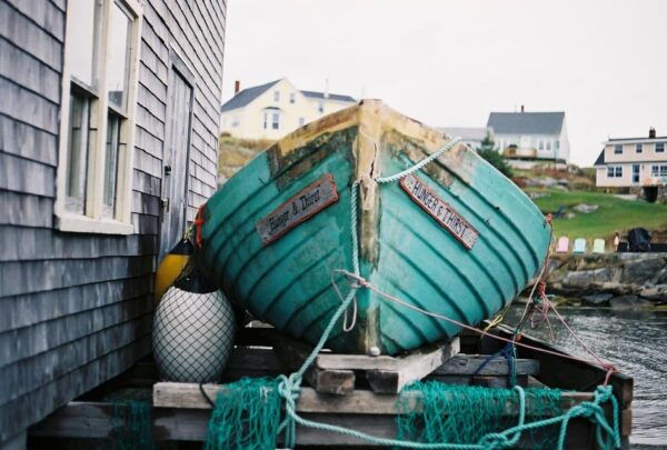 Halifax: Peggys Cove, Lunenburg, and Annapolis Valley Tour - Wine Tasting Experience