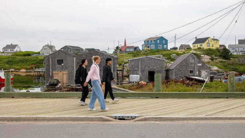 Halifax Small-Group Express Peggys Cove Tour - Transportation and Group Size