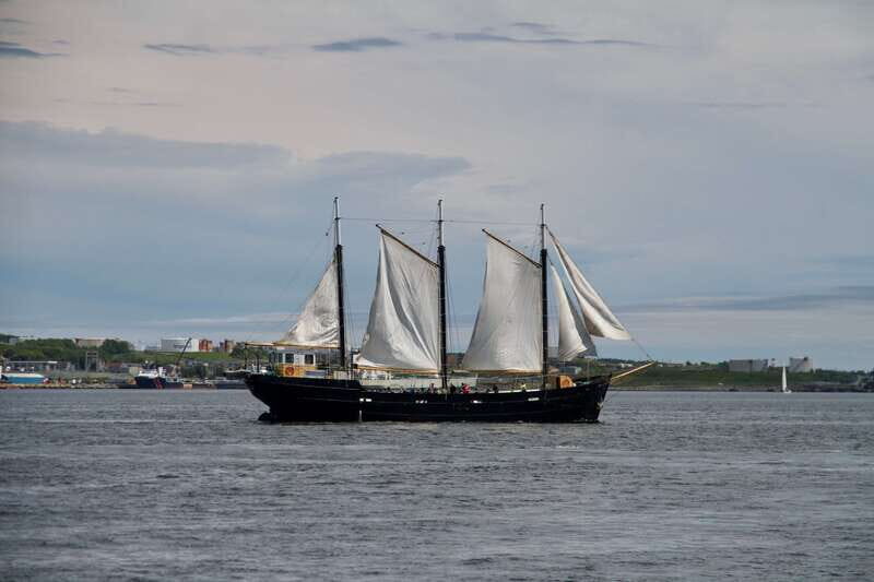 Halifax: Tall Ship Harbor Sailing Cruise with Live Music - Halifax: Tall Ship Harbor Sailing Cruise with Live Music – A Deep Dive