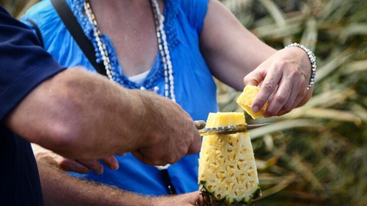 Hali'imaile: Pineapple Farm Tour - Tour Information Highlights