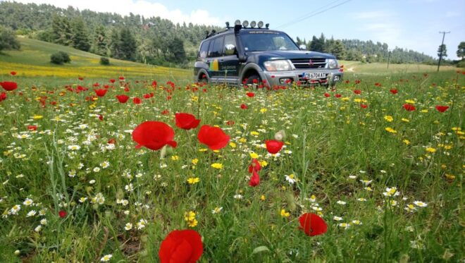 Halkidiki: Kassandra 4x4 Jeep Safari Off-Road Experience - Full Description of the Tour