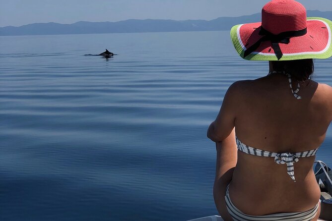 Halkidiki: Sithonia Private Full Day Cruise - Meeting and Pickup Details