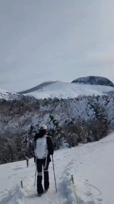 Hallasan National Park Half-day National Park & Winter Tour - Hallasan in winter: a hike, not a scenic drive
