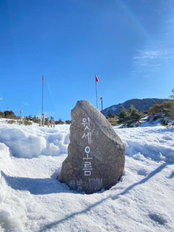 Hallasan National Park Half-day National Park & Winter Tour - What the half-day format does and does not tell you