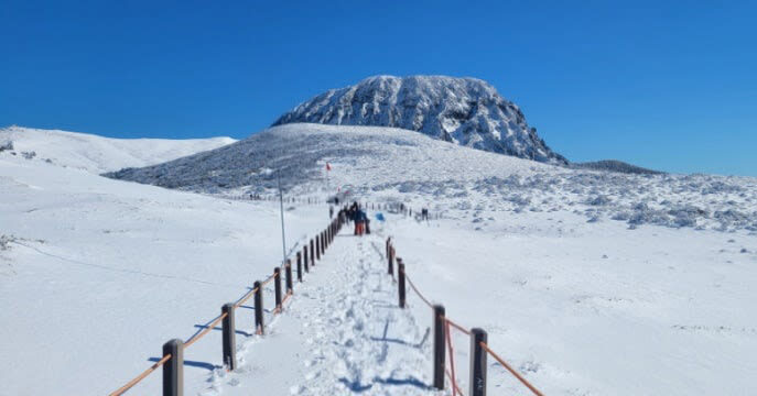 Hallasan National Park Half-day National Park & Winter Tour - Should you book it?