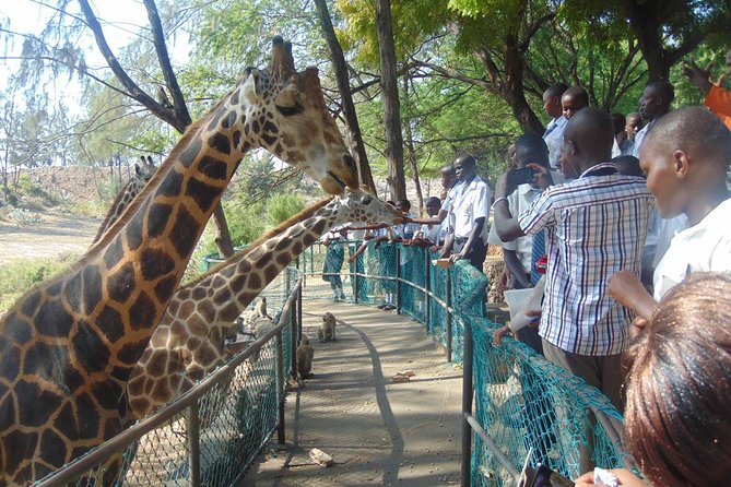 Haller Park Half-Day Tour From Mombasa - Highlights