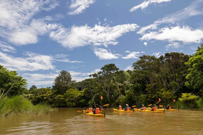 Hallertau Clevedon Kayak Tour - Additional Cancellation Information