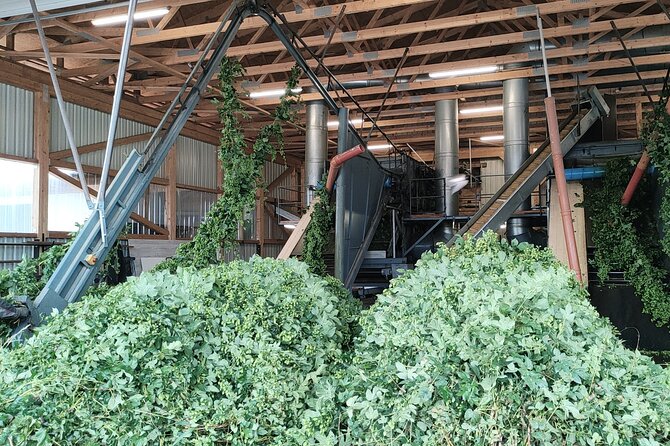 Hallertau Experience With Hop Harvest, Lunch and Hop Museum - Hop Harvest Experience Dates