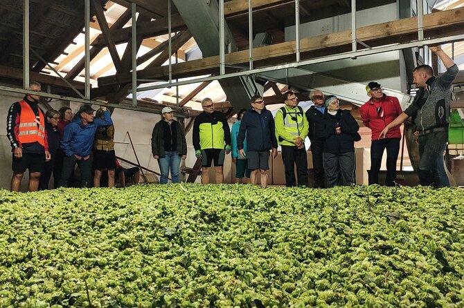 Hallertau Experience With Hop Harvest, Lunch and Hop Museum - Opening Hours and Availability