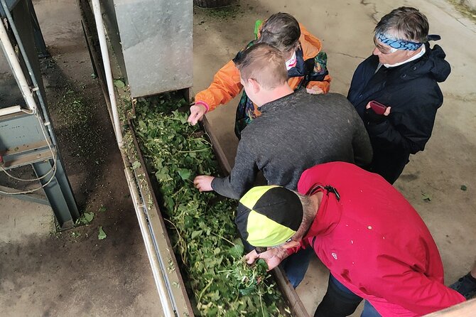 Hallertau Experience With Hop Harvest, Lunch and Hop Museum - End Point and Meeting Point