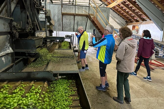 Hallertau Experience With Hop Harvest, Lunch and Hop Museum - Pickup Details and Additional Costs