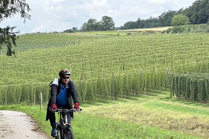 Hallertau Experience With Hop Harvest, Lunch and Hop Museum - Weather and Minimum Traveler Requirements