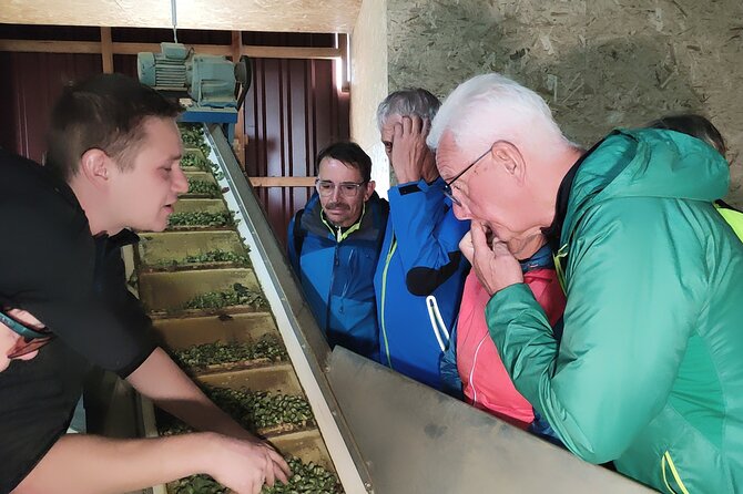 Hallertau Experience With Hop Harvest, Lunch and Hop Museum - Price and Booking Information