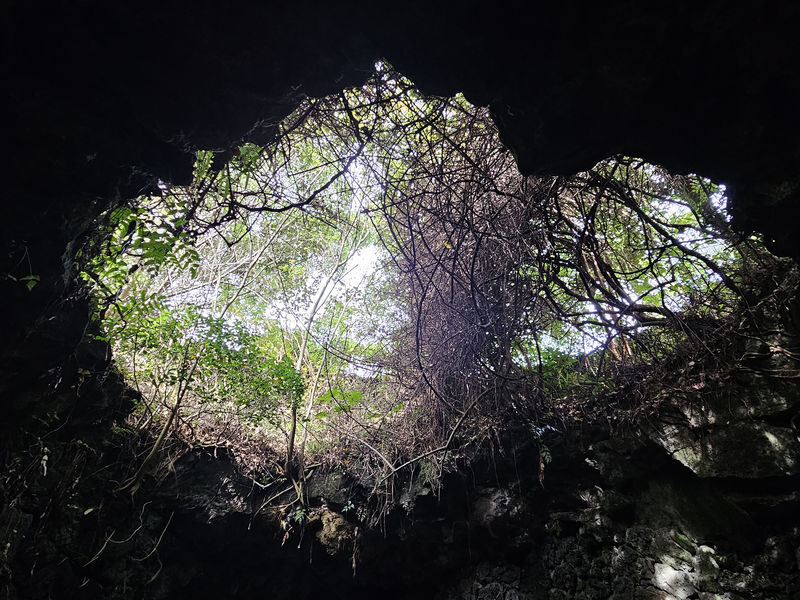 Hallim Park ticket in Jeju - Follow the paths through the gardens