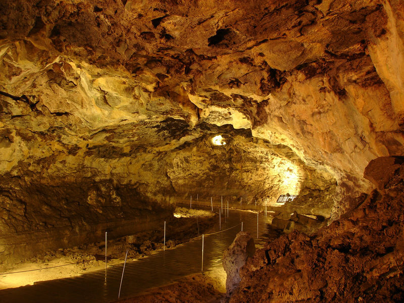 Hallim Park ticket in Jeju - See the folk village and smaller exhibits