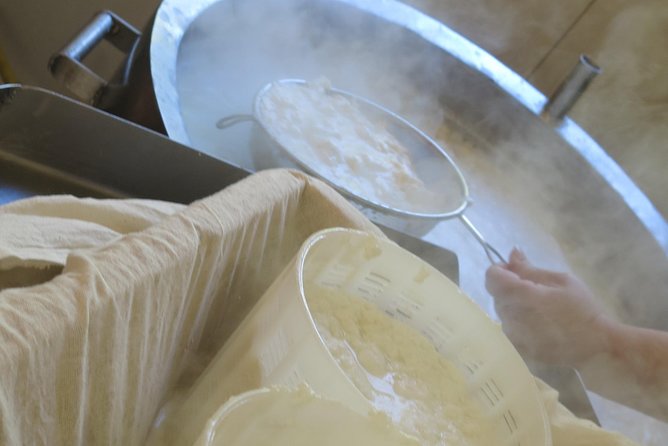 Halloumi Heaven: Cheese-Making Class & Troodos Mountain Villages 8h - Pricing and Booking