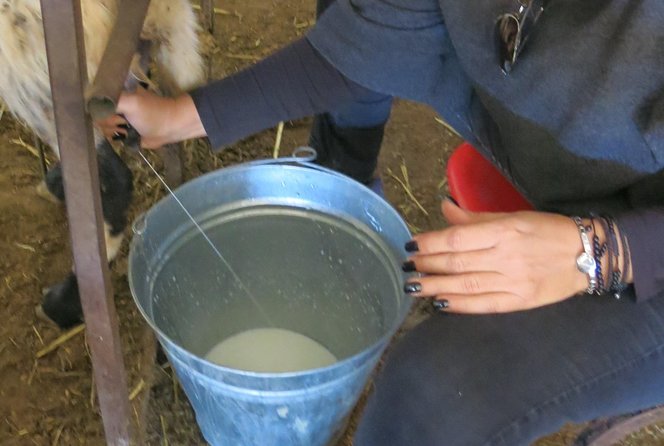 Halloumi Heaven: Cheese-Making Class & Troodos Mountain Villages 8h - Directions and Itinerary