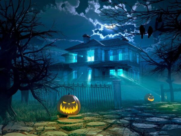 Halloween Haunted Wedding or Vow Renewal Photography - The Sum Up