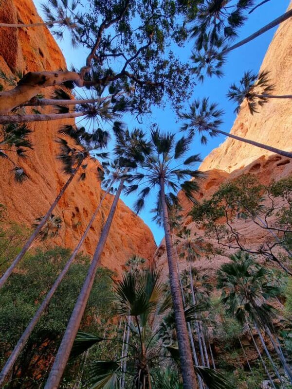 Halls Creek to Bungles: Fly /Drive + Aboriginal local guides - Final Thoughts