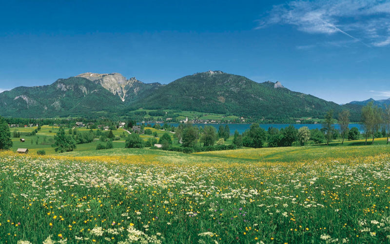 Hallstatt and The Sound of Music Tour from Salzburg - Back to Salzburg, then into the film