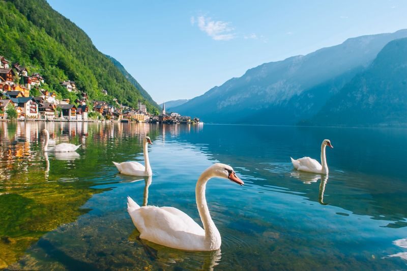 Hallstatt Full-Day Tour with Castle Ort - Should you book the Hallstatt and Castle Ort tour?