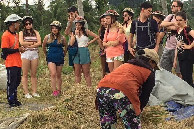 HALO BIKE Downhill Bali Countryside Cycling Tour - What Makes This Tour Stand Out