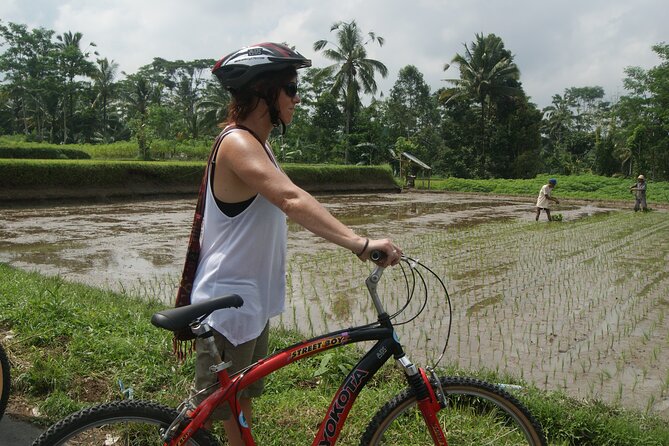 HALO BIKE TOUR - Bali Countryside Downhill Cycling Tour - Cycling Itinerary