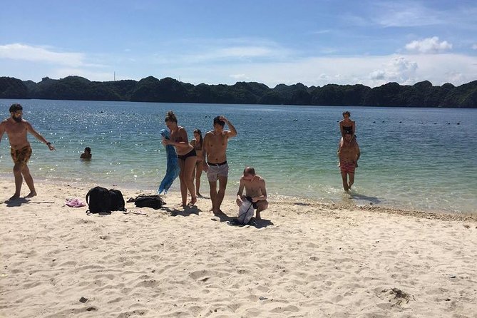Halong Bay 2 Days 1 Night Included Transfer From Hanoi - Terms & Conditions