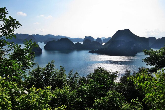 Halong Bay 2 Days-1 Night With Aphrodite Cruise 5 Star - Dining Options
