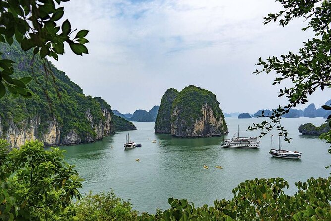 Halong Bay 2 Days-1 Night With The Capella Cruises 6 Star - Capella Cruises: An Unforgettable Halong Bay Experience