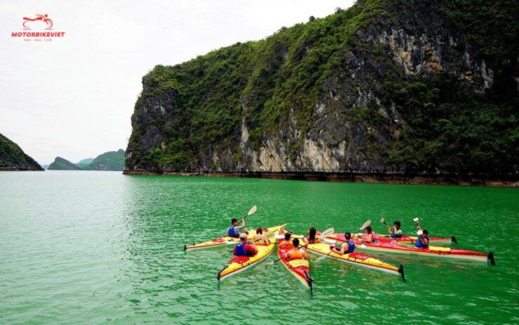 Halong Bay Cruise [5 Star] 6 Hour - Experience Highlights