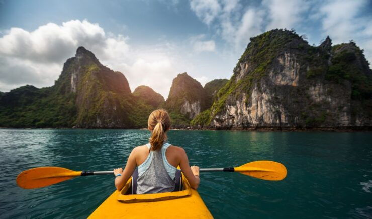 Halong Bay Cruise - Shore Excursion From Cai Lan Port - Activity Details