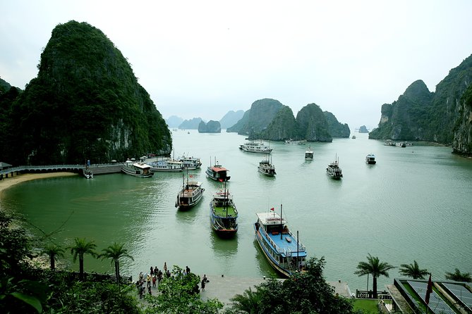 Halong Bay Cruise Tour From Hanoi With Kayak Adventure - What to Expect