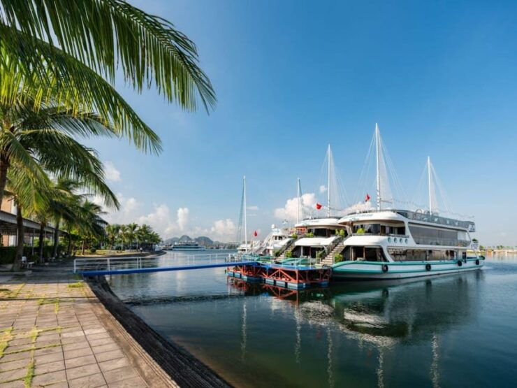 Halong Bay Cruise Trip : Caves, Buffet Lunch, Kayak, Titop - Trip Overview and Pricing