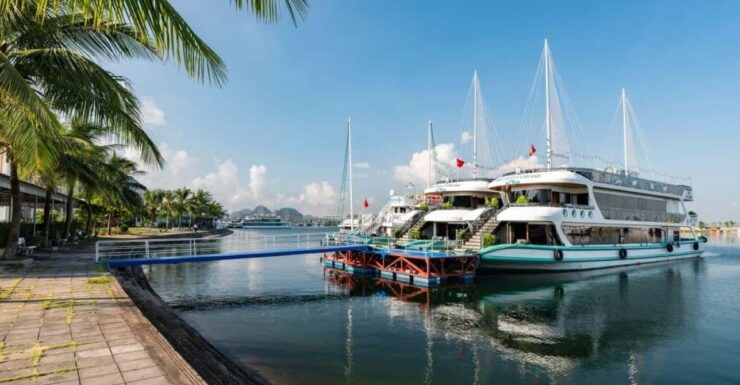 Halong Bay Cruise Trip : Caves, Buffet Lunch, Kayak, Titop - Activities and Experiences