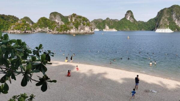 Halong Bay Cruise Trip : Caves, Buffet Lunch, Kayak, Titop - The Sum Up