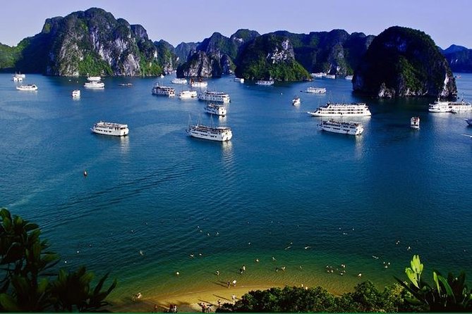 Halong Bay Day Cruise to Sung Sot Cave and Ti Top Island From Hanoi - Tour Highlights