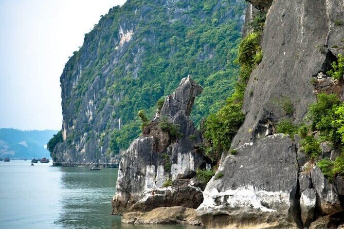 Halong Bay Day Cruise Trip: Thien Cung Cave & Kayaking - Final Thoughts: Who is This Tour For?