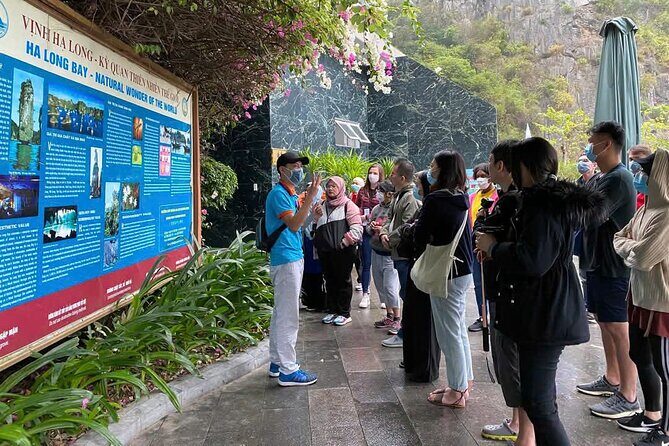 Halong Bay Day Cruise Trip: Thien Cung Cave & Kayaking - Who Is This Tour Best For?