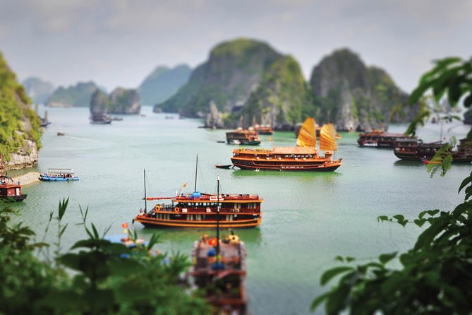 Halong Bay Day Cruise With Bamboo Boat Ride or Kayaking - Options for Bamboo Row Boat Ride