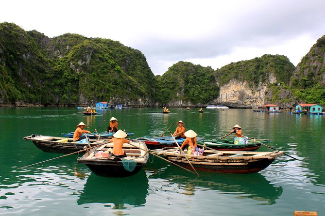 Halong Bay Day Cruise With Bamboo Boat Ride or Kayaking - Options for Kayaking Experience