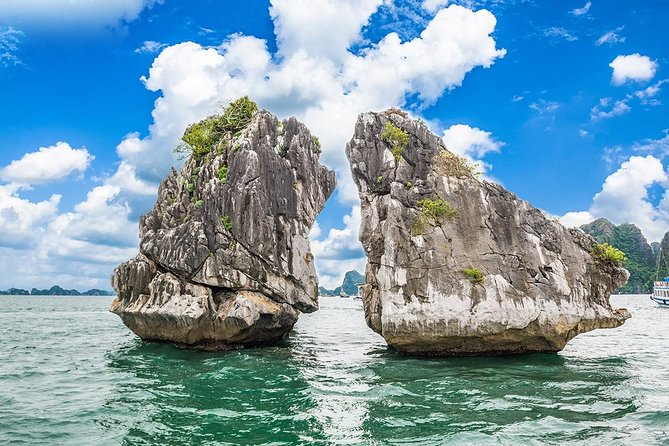 Halong Bay Day Trip 6-Hour Cruise Tour [Round-Trip Highway] With Lunch, Sea Kayak or Bamboo Boat (Ro - Additional Information and Terms & Conditions