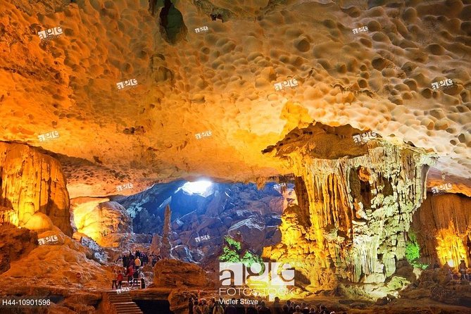 Halong Bay Day Trip Cruise With Kayaking and Transfers - Hanoi - Copyright and Terms & Conditions